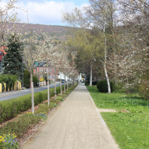 Im Park an der Schwarzburger Stra�e - Bildautor: Matthias Pihan, 15.04.2026