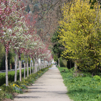 Im Park an der Schwarzburger Stra�e - Bildautor: Matthias Pihan, 22.04.2026