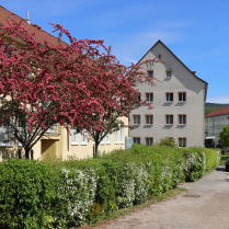 In der Warfe - Bildautor: Matthias Pihan, 18.05.2026