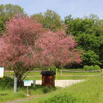 Landessportschule, 18.05.2026