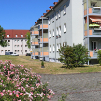 Im Wohngebiet �Siedlung� - Bildautor: Matthias Pihan, 02.07.2026