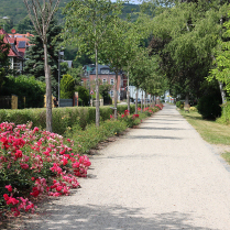 Im Park an der Schwarzburger Stra�e - Bildautor: Matthias Pihan, 15.07.2026