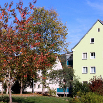 Im Wohngebiet �Siedlung� - Bildautor: Matthias Pihan, 06.10.2026