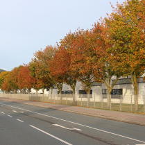 Rudolst�dter Stra�e - Bildautor: Matthias Pihan, 09.10.2026