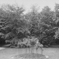 Im Park der Villa Emilia - Bildautor: Albert Schmiedeknecht, 1898  Stadt Bad Blankenburg
