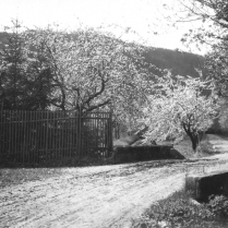 Lachebrcke Dittersdorfer Weg - Bildautor: Paul Toennies  Stadt Bad Blankenburg