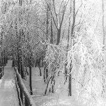 Ortloffsteg im Winter - Bildautor: Paul Toennies  Stadt Bad Blankenburg