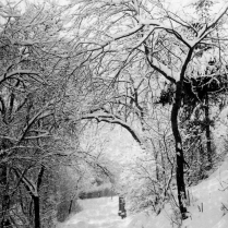 An der Rhrenbank im Winter - Bildautor: Paul Toennies  Stadt Bad Blankenburg