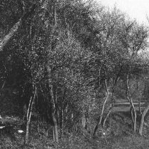 Blick zum Villenweg - Bildautor: Paul Toennies  Stadt Bad Blankenburg