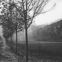 Die heutige Georgstrae - Bildautor: Paul Toennies  Stadt Bad Blankenburg