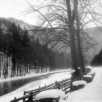 Blick von der Fahrstrae mit dem Wildgatterzaun zum Eberstein - Bildautor: Paul Toennies  Stadt Bad Blankenburg