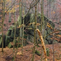 Der Napoleonsitz im Werretal