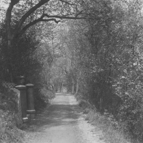 Der Villenweg am Goldberg