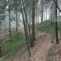 Weg von Bhlscheiben kurz vor der Klingenaussicht im Dezember 2009 - Bildautor: Matthias Pihan, 29.12.2009