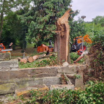 Ber�umung am Folgetag durch den Bauhof