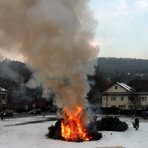 Verbrennen der Weihnachtsbume