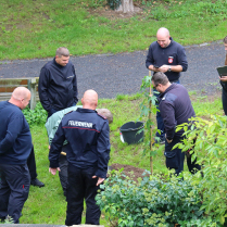 Pflanzung eines Amberbaums auf dem Alten Friedhof als Pr�sent der Hofgeismarer Feuerwehr anl�sslich 150 Jahre Feuerwehr Bad Blankenburg - Bildautor: Matthias Pihan