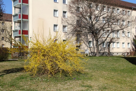 Im Wohngebiet �Siedlung�