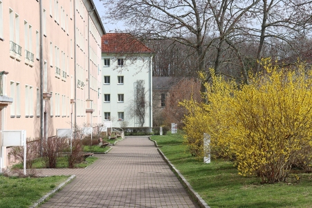 Im Wohngebiet Siedlung