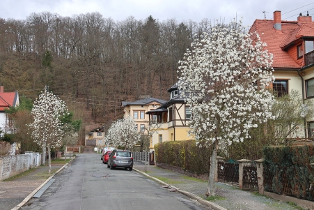 Uhlandstrae