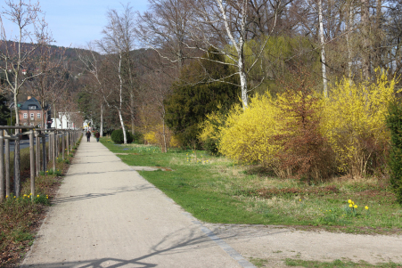 Im Kurpark an der Schwarzburger Strae