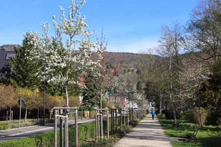 Im Kurpark an der Schwarzburger Strae