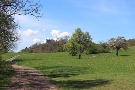 Blick vom Hffel zur Burg Greifenstein