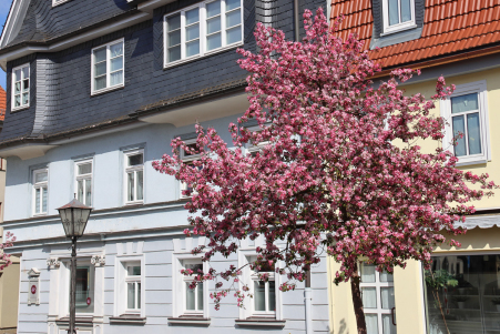 Marktplatz