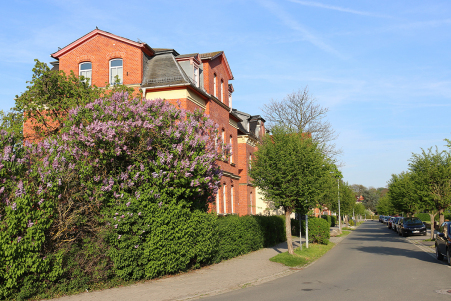 Bhringstrae
