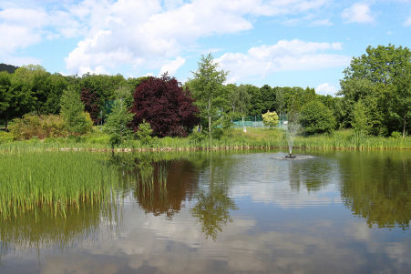 Am Teich der Landessportschule