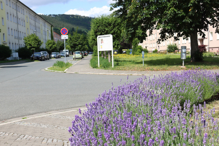 Im Wohngebiet Siedlung