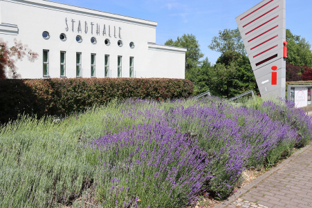 Stadthalle