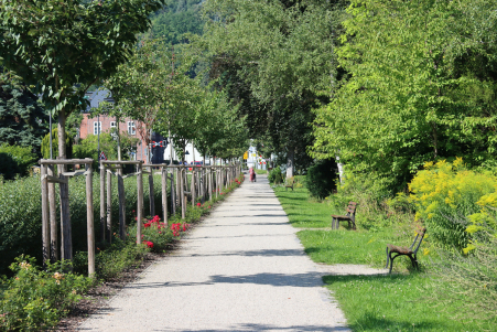 Im Kurpark an der Schwarzburger Strae