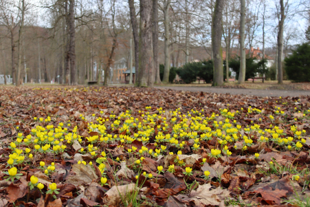 Im Stadtpark am Badew�ldchen