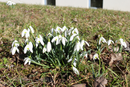 Im Wohngebiet �Siedlung�