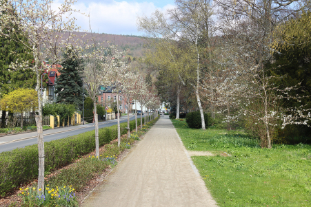 Im Park an der Schwarzburger Stra�e