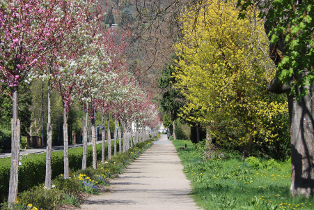 Im Park an der Schwarzburger Stra�e