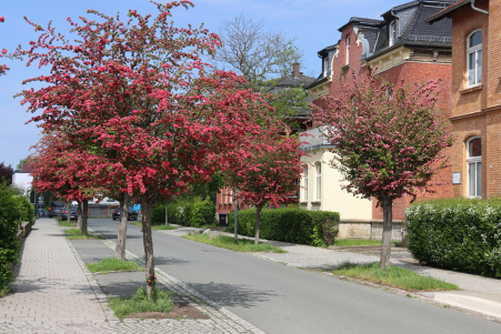 B�hringstra�e