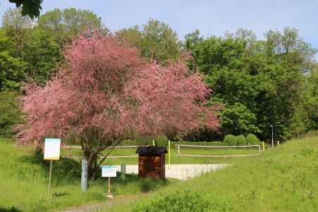 Landessportschule