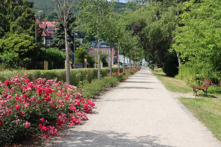Im Park an der Schwarzburger Stra�e
