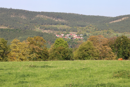 Blick aus der B�hlscheibener Flur nach Kleing�litz