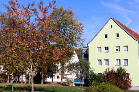 Im Wohngebiet �Siedlung�